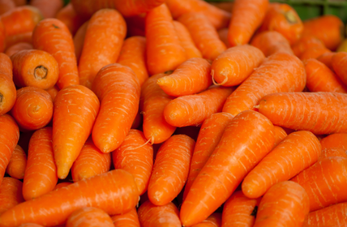 Carrots: A Crunchy Immunity Boosting Food