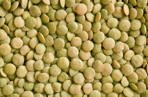 Immunity-Boosting Foods: How Lentils Support Gut Health and Strengthen Immunity