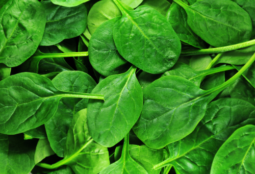 Spinach is rich in vitamin C, vitamin E, and antioxidants, making it one of the top immunity boosting foods. Add it to salads or smoothies to appeal to kids.