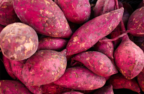 Sweet Potatoes: A Delicious Source of Immunity Boosting Foods
