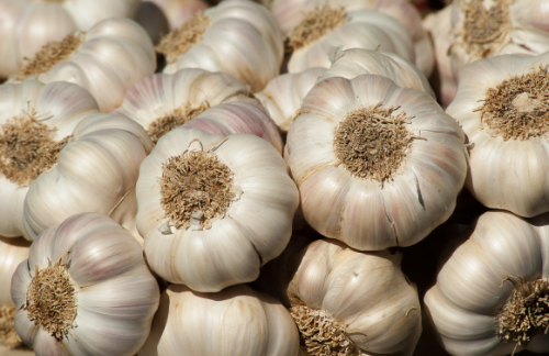 Immunity Boosting Foods: The Power of Garlic for Enhanced Immune Function