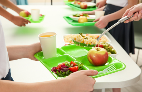 Grains, especially rice, are crucial in school meals, providing energy and essential nutrients that support children's growth and learning.